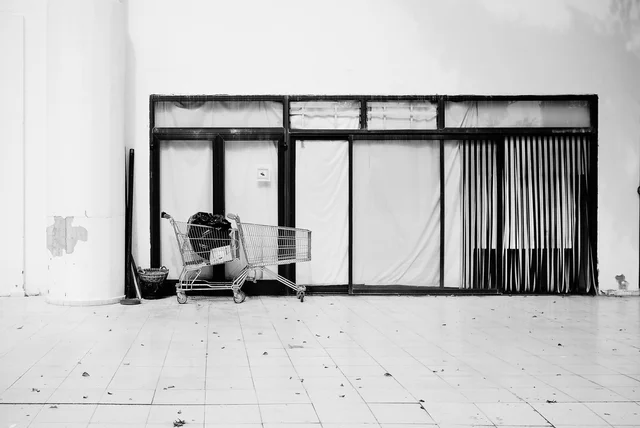 4455602112-29740ae586-o