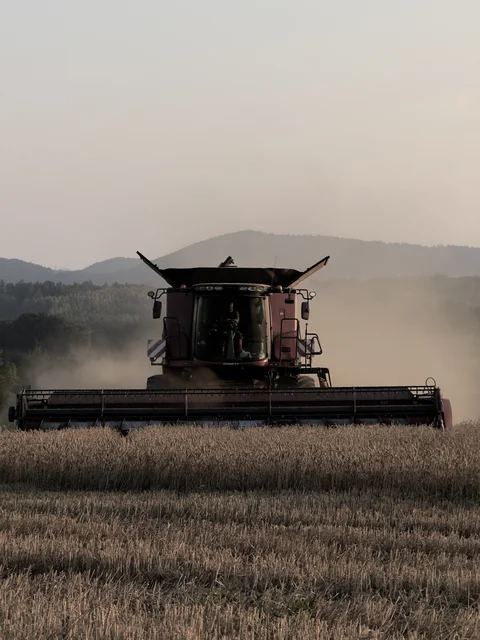 harvest